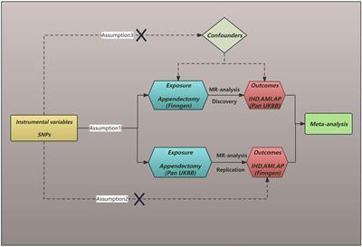 Exploring the causality of appendectomy and ischaemic heart disease: a Mendelian randomization study and meta-analysis